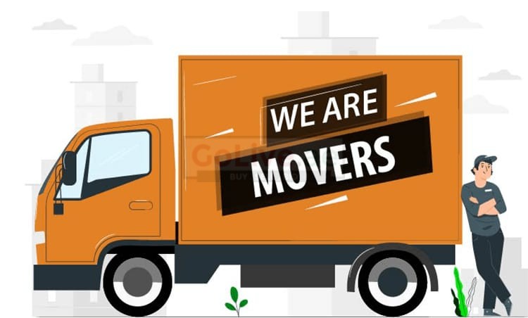 professional movers and packers